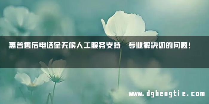 惠普售后电话全天候人工服务支持 专业解决您的问题!